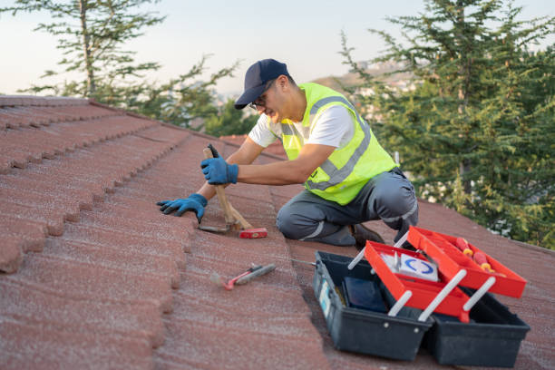 Best Roof Gutter Cleaning  in Holliday, TX