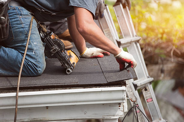Best Gutter Installation and Roofing  in Holliday, TX